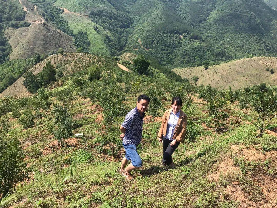 金融服务“三夏”不误农时