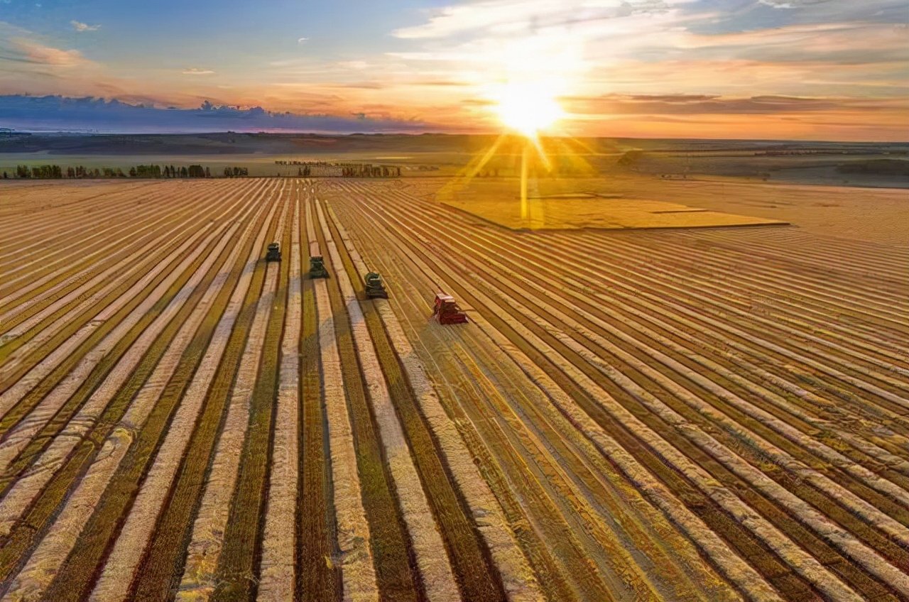 私募业十年发展透视：从量增到质升 头部效应明显