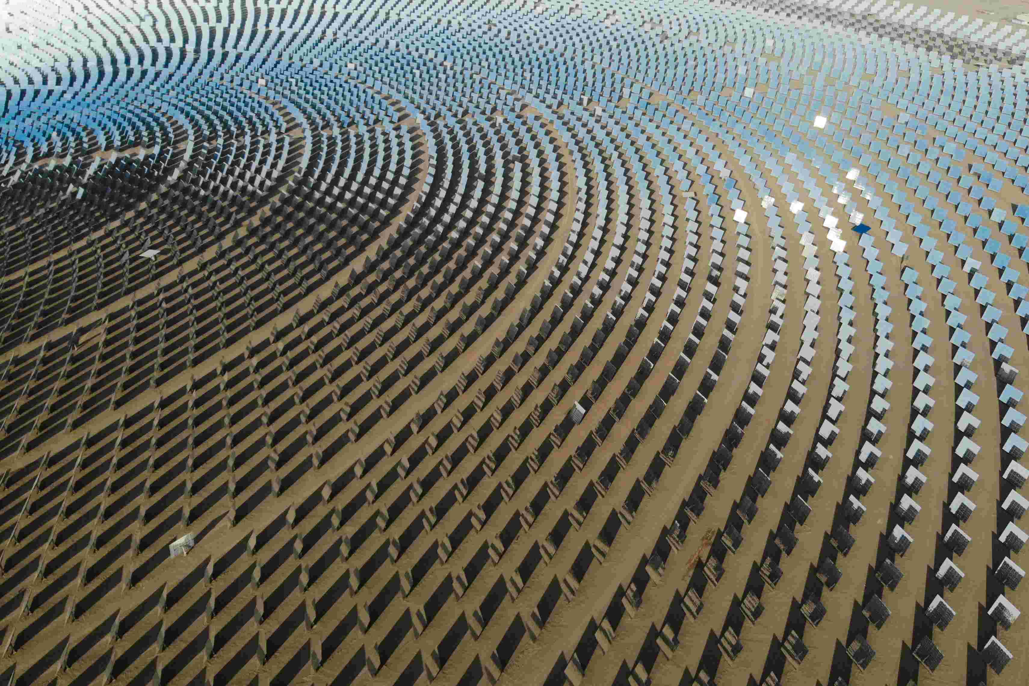 财经聚焦|从田间到餐桌，夏粮收储加工一线追踪