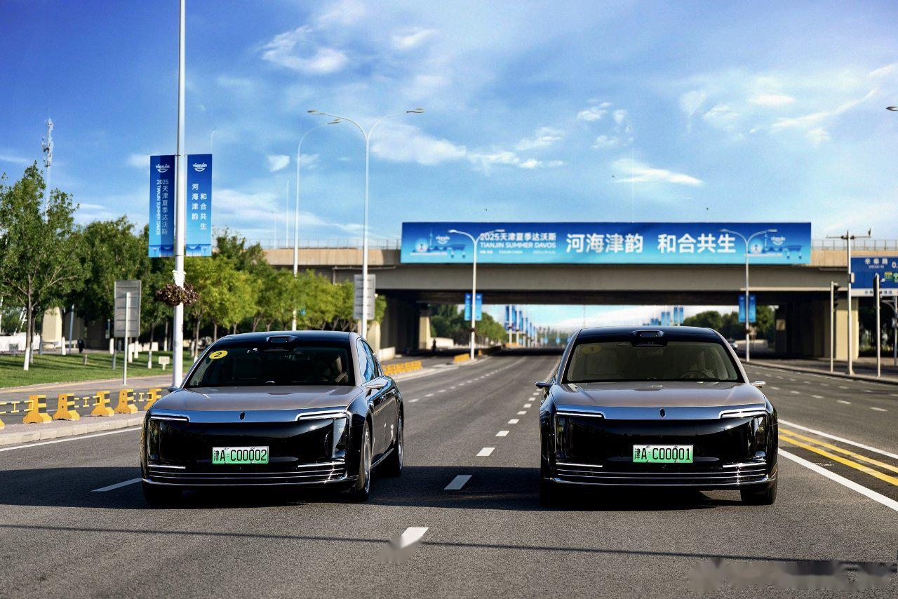 夏季达沃斯论坛丨记者手记：在夏季达沃斯论坛上感知世界对中国的信心