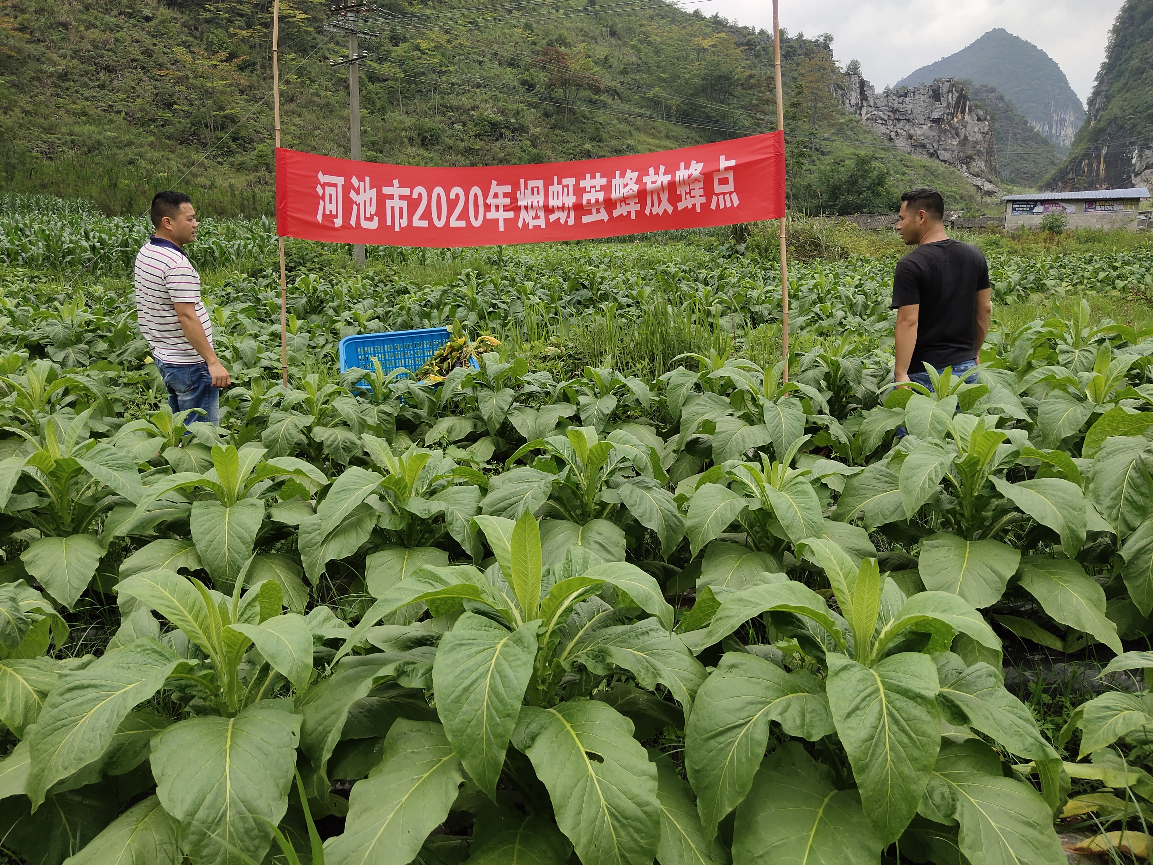 北交所首单科技创新绿色公司债券成功发行