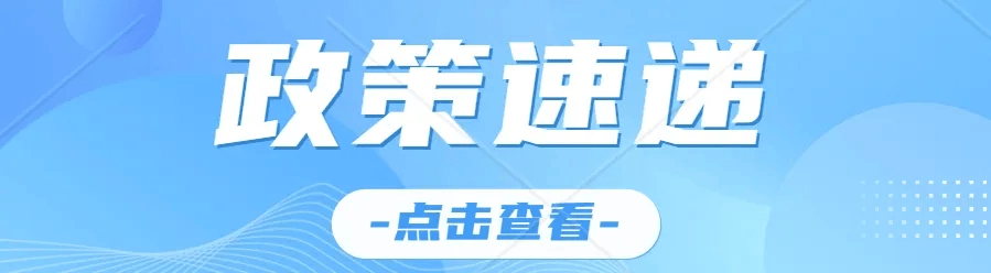 以“新”提“质” “两新”政策显效释活力