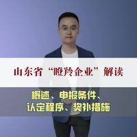 瞪羚、独角兽、“小巨人”在“基金丛林”加速涌现