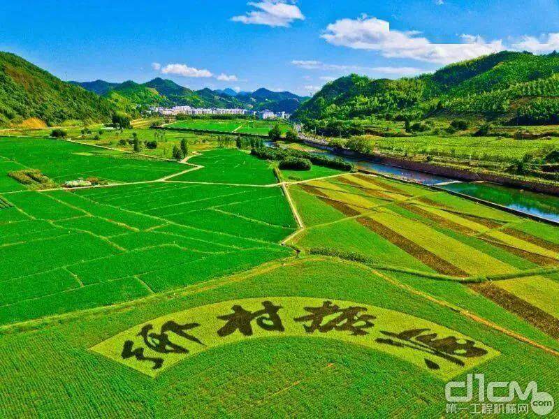 科技赋能绿色发展 中国为全球探新路