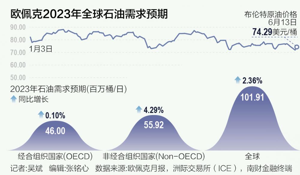 欧佩克国际研讨会聚焦能源转型　呼吁加强全球合作