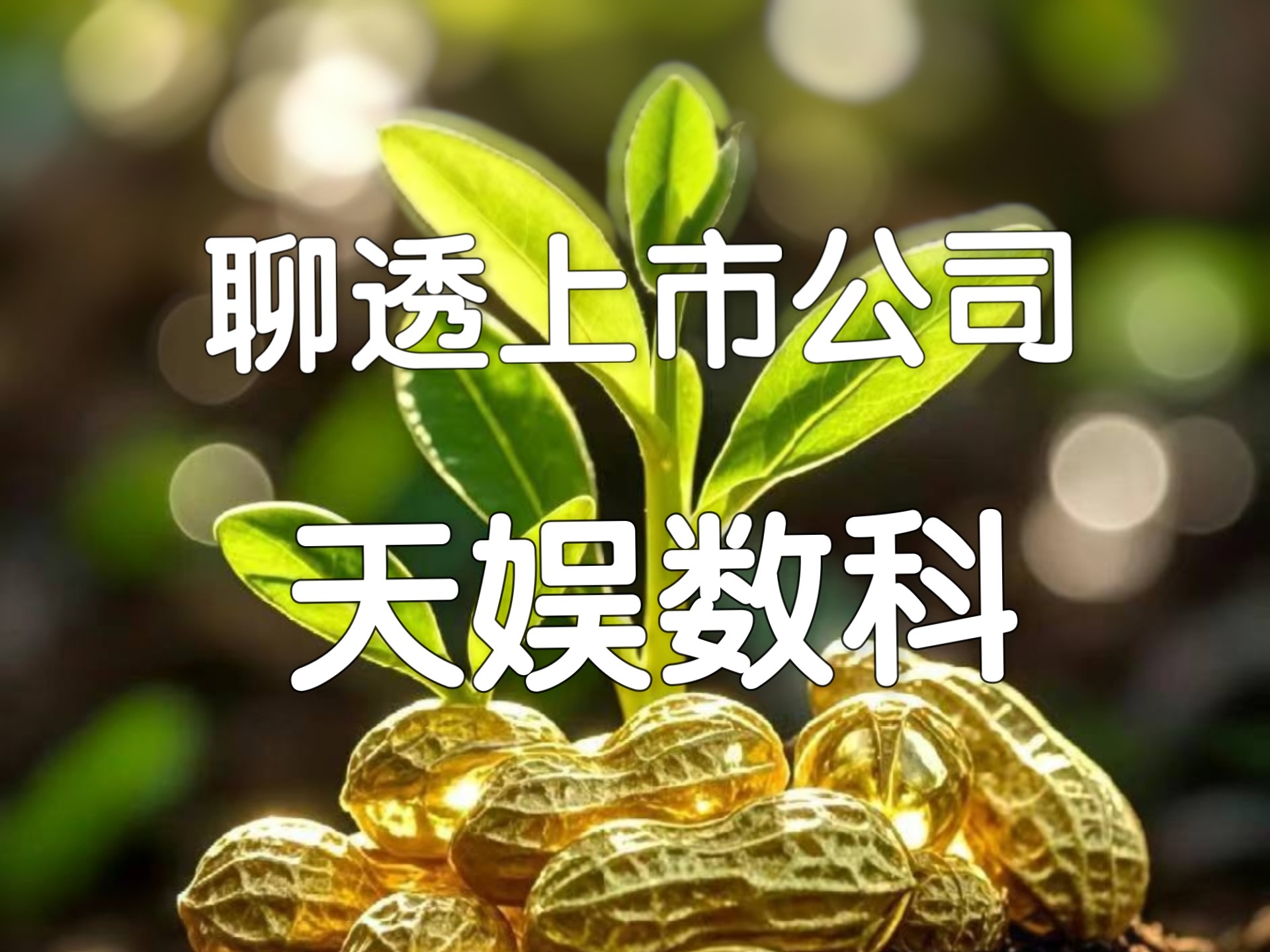 天娱数科：上半年预计同比扭亏为盈