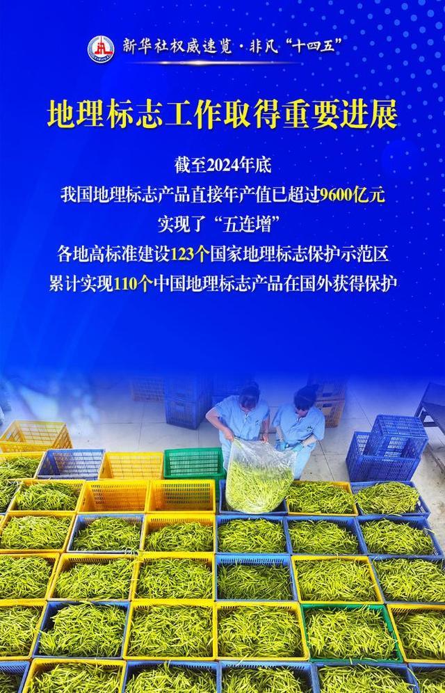 新华社权威速览·非凡“十四五”｜国家综合立体交通网建设，“进度条”刷新！