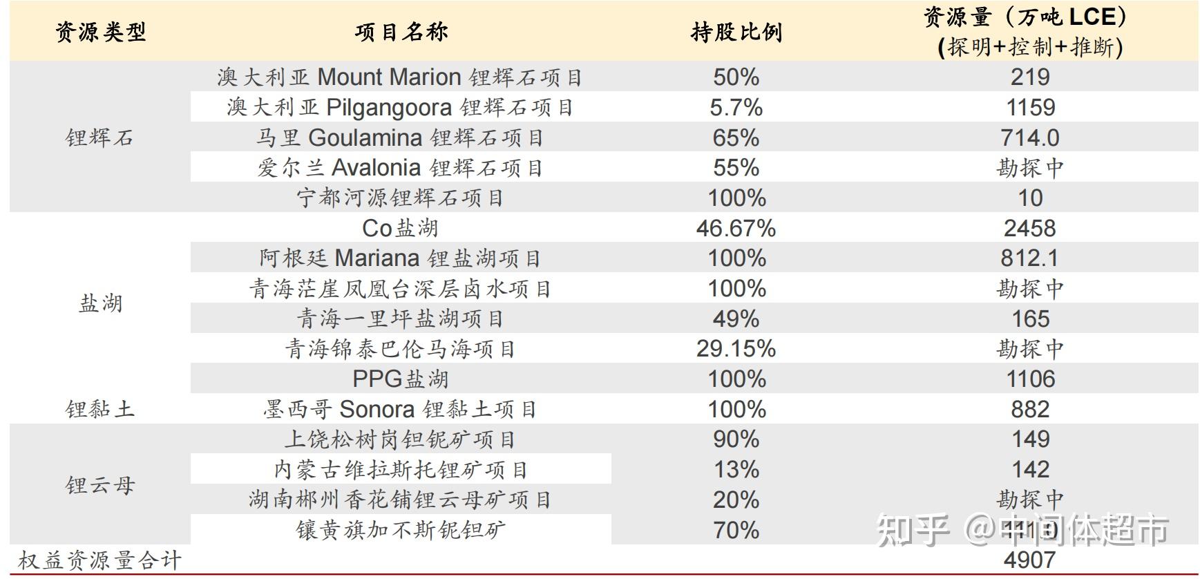 赣锋锂业整合海外三块锂盐湖项目