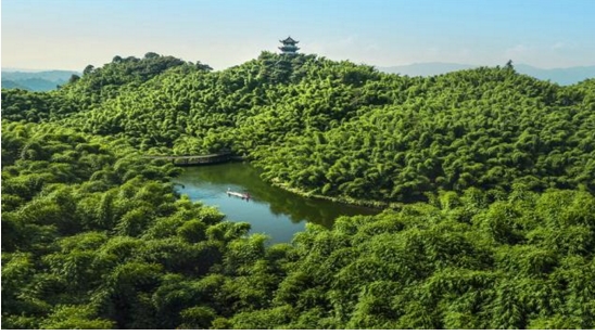 新华社政论｜关系中华民族永续发展的根本大计——写在绿水青山就是金山银山理念提出二十周年之际