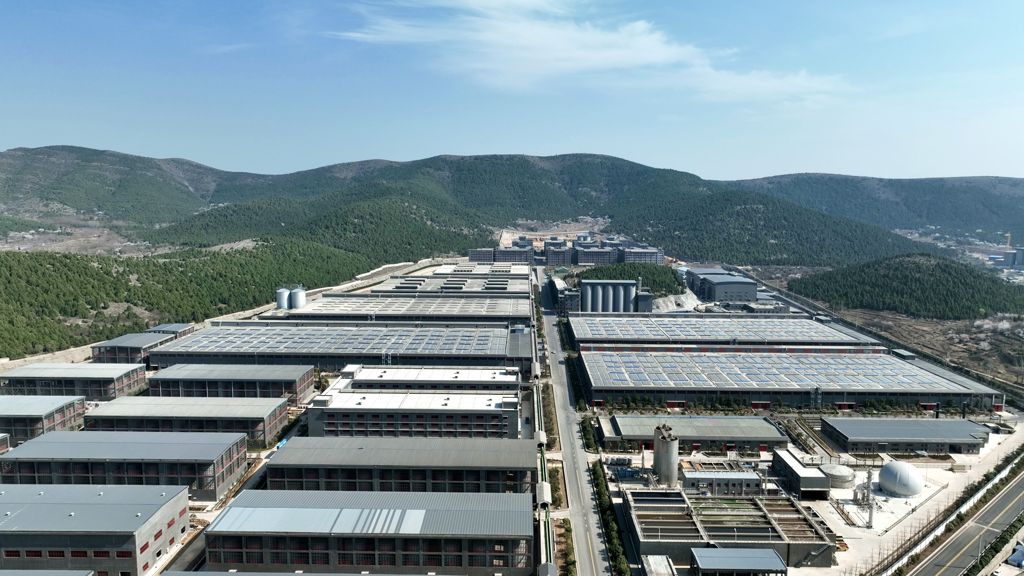 和元生物：上半年营业收入同比增长6% 多措并举筑牢发展根基