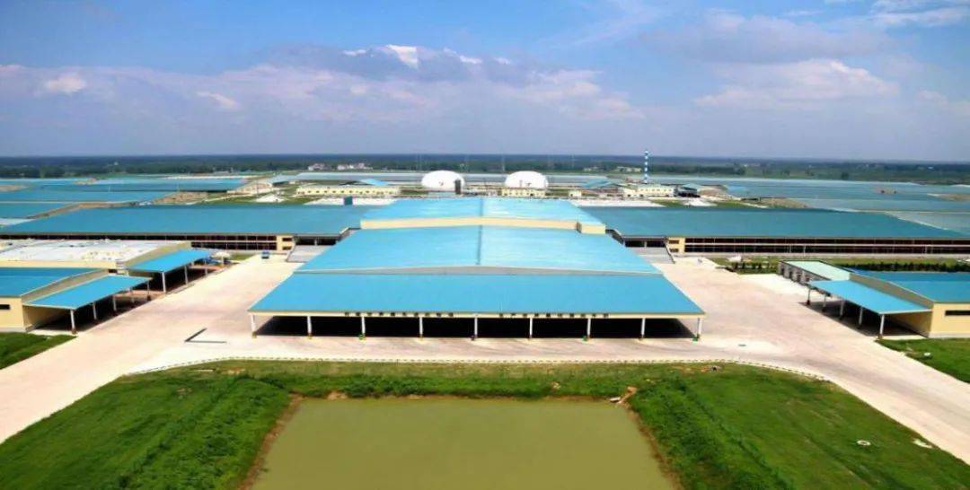 *ST花王：加速重组股权交割及新产品落地 助力产业链构建与升级