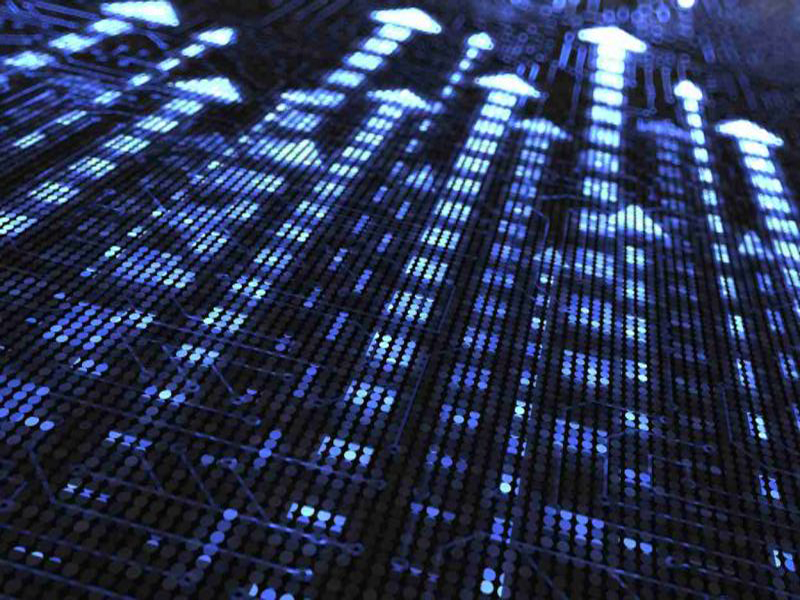 涛涛车业2025年上半年营收净利双增