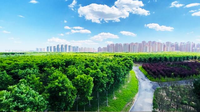 产业向“新”向“绿”折射经济增长引擎切换