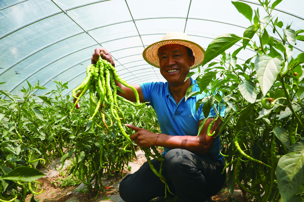 连续8年第一！东盟果蔬飘香中国