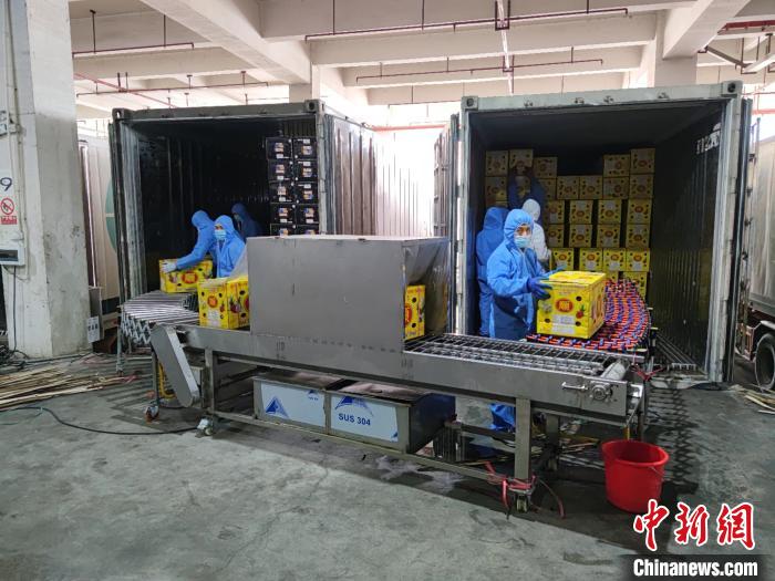 连续8年第一！东盟果蔬飘香中国