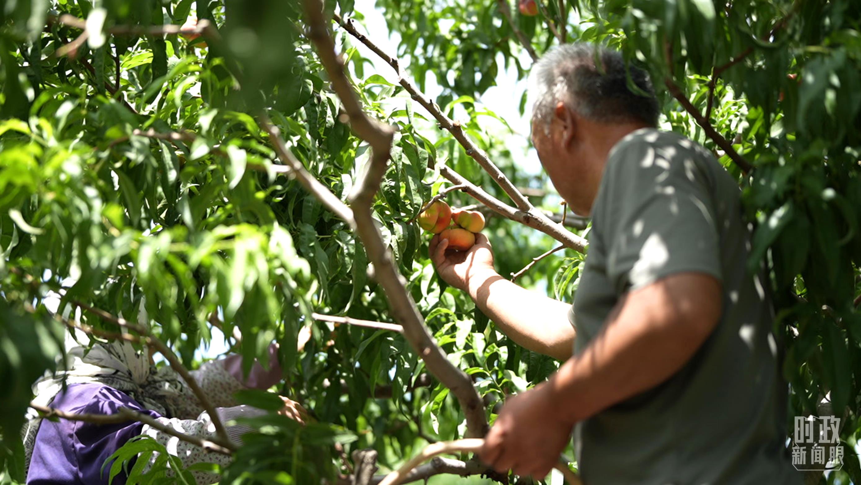 第一观察丨习近平总书记率中央代表团来到新疆