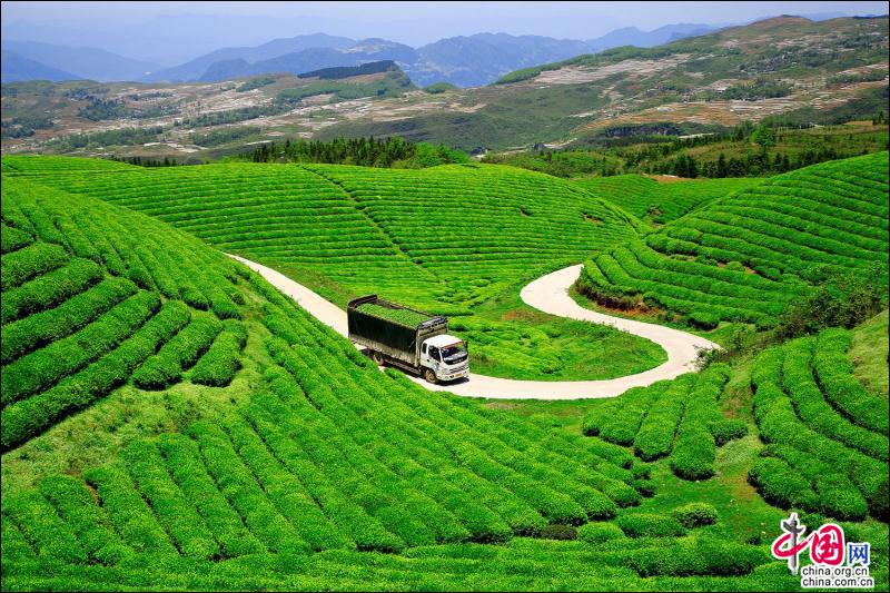 助力产业绿色低碳转型 上期所做好金融“五篇大文章”