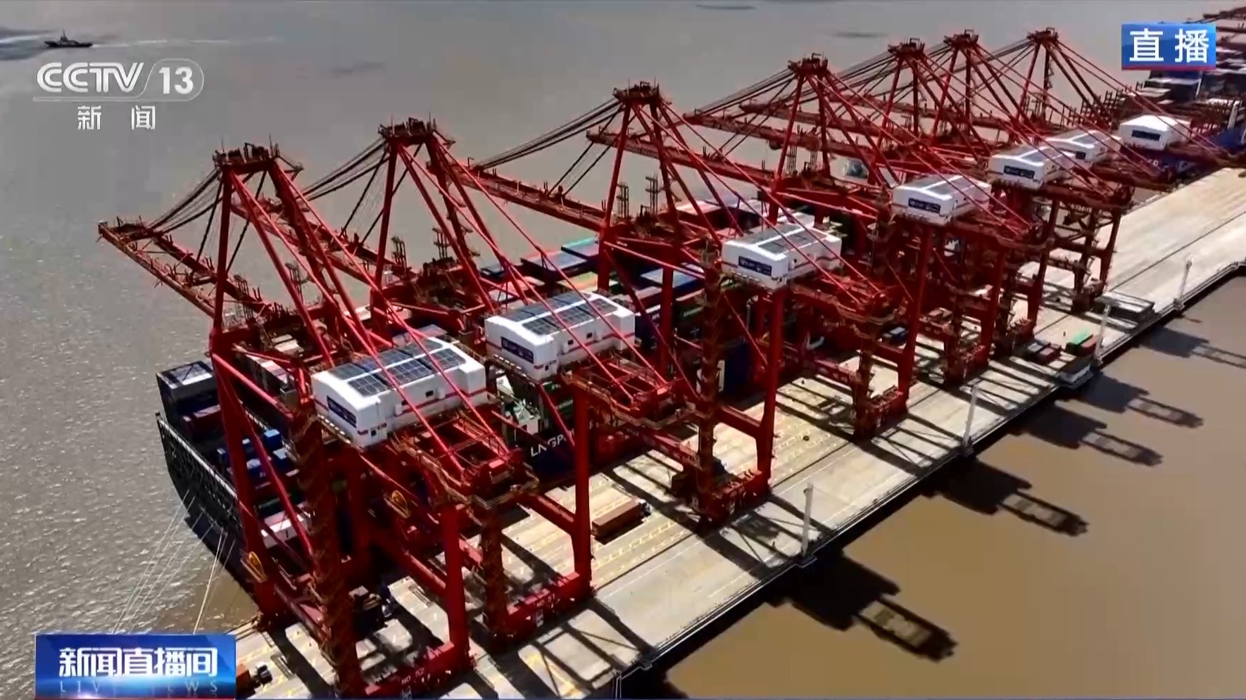 活力中国调研行丨政策“活水”激荡产业新动能——海南自贸港的“洋浦实践”