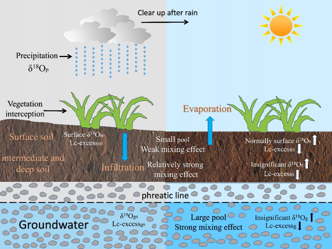 诺和晟泰于药物化学TOP期刊《Journal of Medicinal Chemistry》发表研究论文