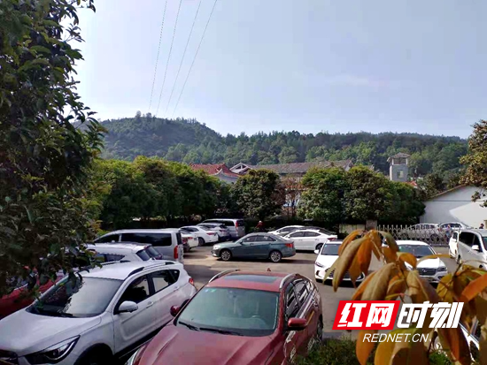 各地交通运输部门出招，让假期出行“电力”更足