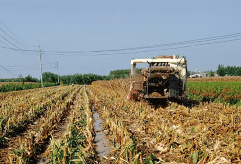农业农村部紧急调剂调运救灾机具保障黄淮地区秋粮抢收抢烘