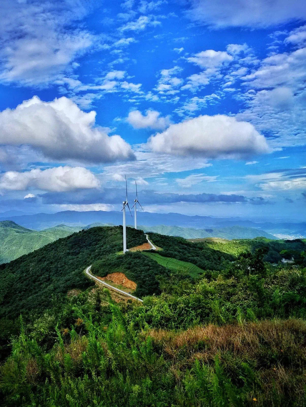 文化新观察·聚焦国庆中秋假期丨“反向旅游”渐热，假期旅游打开新方式