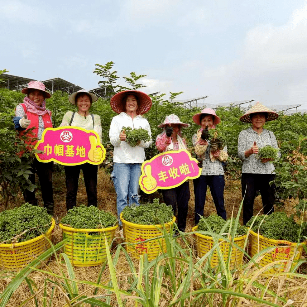 中国妇女奋斗建功新时代丨奋斗创造新生活——中国妇女在经济高质量发展中建功立业