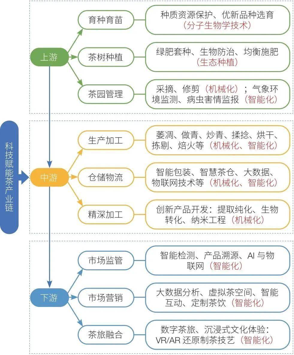 中国经济样本观察·县域样本篇丨在这座闽南小城，最传统的茶业正发生最新锐的变化！