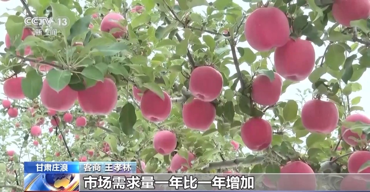 全国秋粮收获过五成