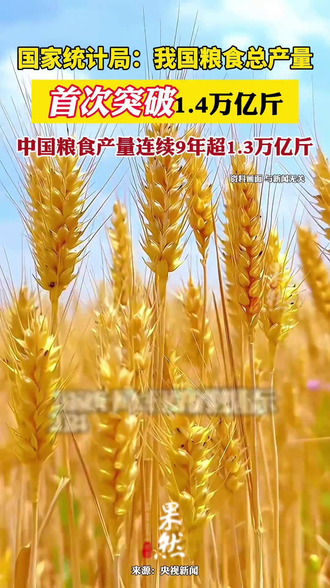 高质量完成“十四五”规划丨当前我国粮食市场化收购占收购量九成以上