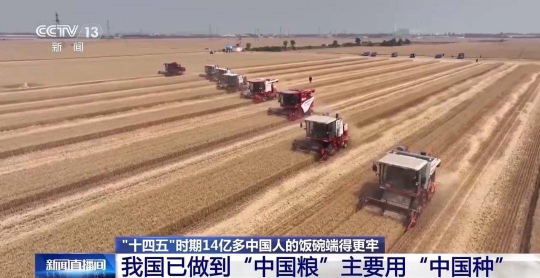 高质量完成“十四五”规划丨当前我国粮食市场化收购占收购量九成以上