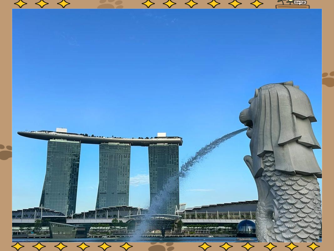 这个金秋，城市漫步玩出新花样