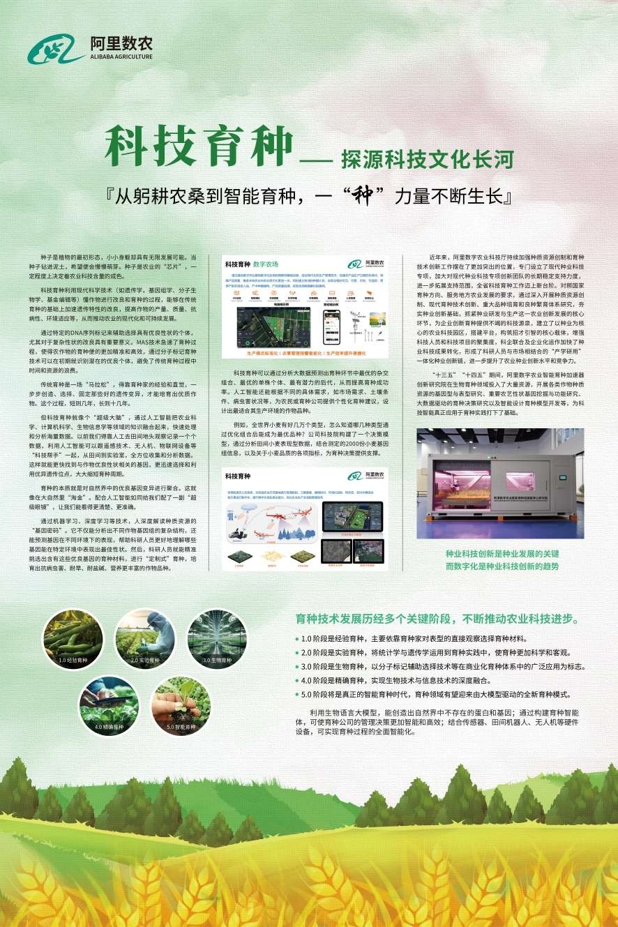 从赋能到共生 央企解锁乡村振兴新密码