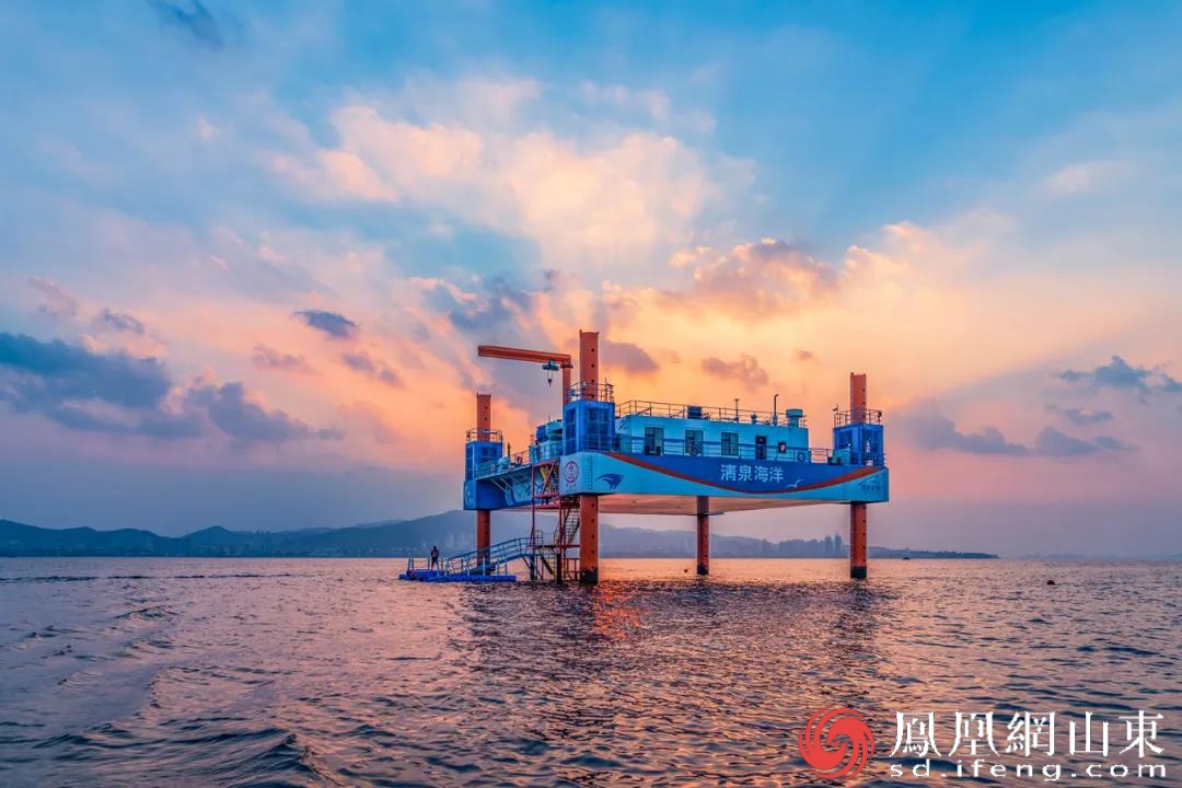 无锡鼎邦总经理王凯：专注石化换热设备 以技术锚定多元化未来