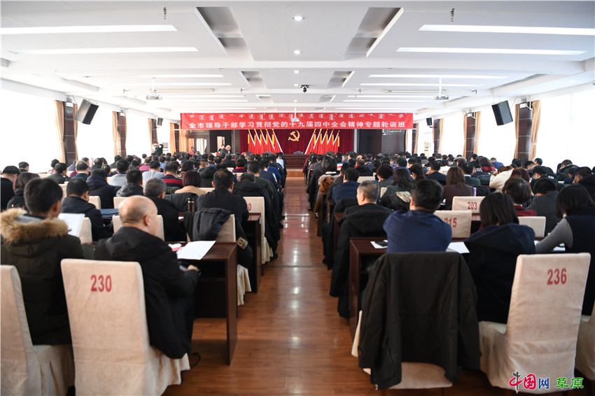 学习贯彻党的二十届四中全会精神 | 勠力进取，确保基本实现社会主义现代化取得决定性进展——与会同志谈贯彻落实党的二十届四中全会精神