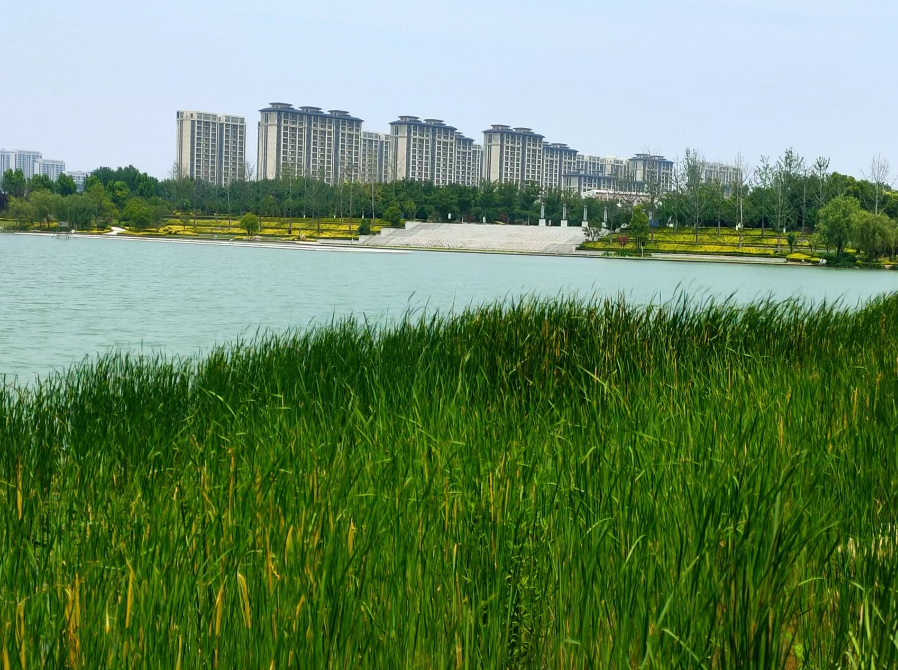 擘画高质量发展新蓝图