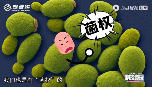 攻克高碳排放难题！我国科学家在绿色催化技术上取得新突破