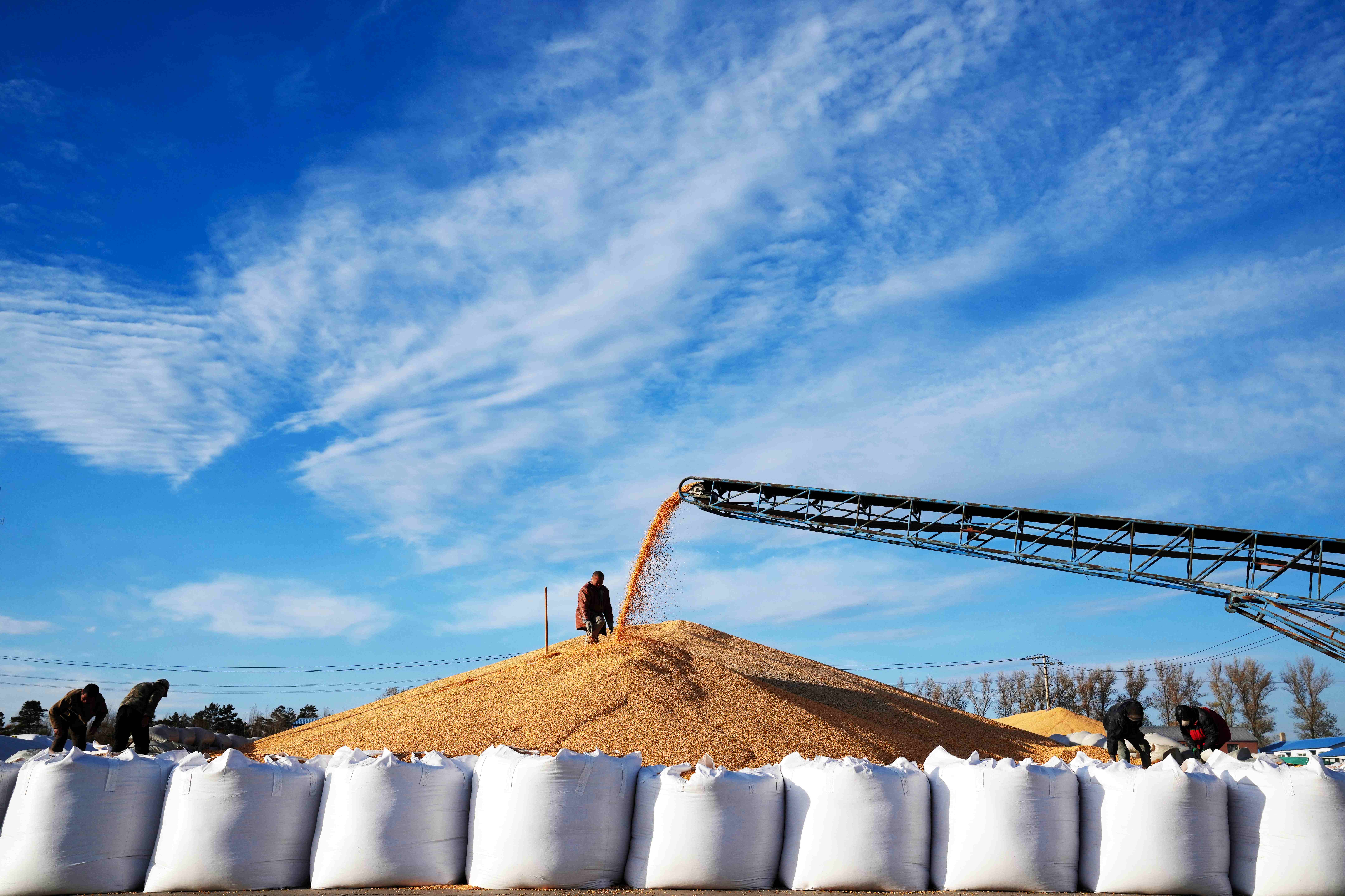 贯彻落实党的二十届四中全会精神权威访谈丨加快建设金融强国 为中国式现代化提供有力支撑——访中央金融办分管日常工作的副主任、中央金融工委分管日常工作的副书记王江
