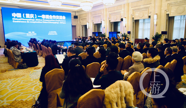 新华鲜报丨驻华使节看“十五五”规划建议：中国新蓝图 世界新机遇