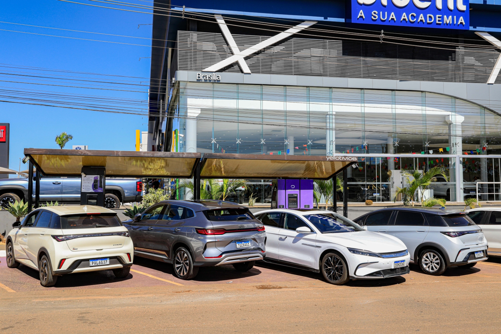 中环新能源欲引入海外投资 全球化扩张持续加速