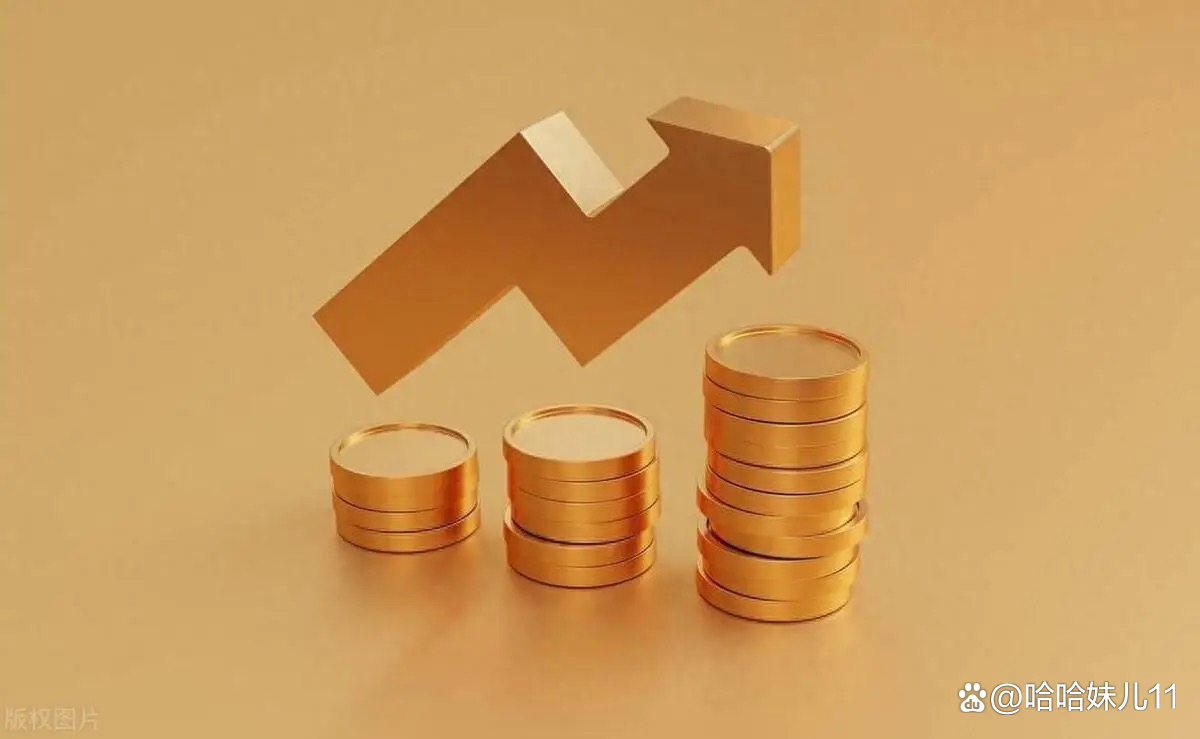 专家热议“十五五”时期财政可持续发展 建议优化财政收支管理