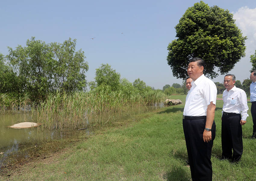 新华社权威快报|《携手迈向生态友好的现代化——习近平生态文明思想对全球可持续发展的理论贡献与实践引领》智库报告发布