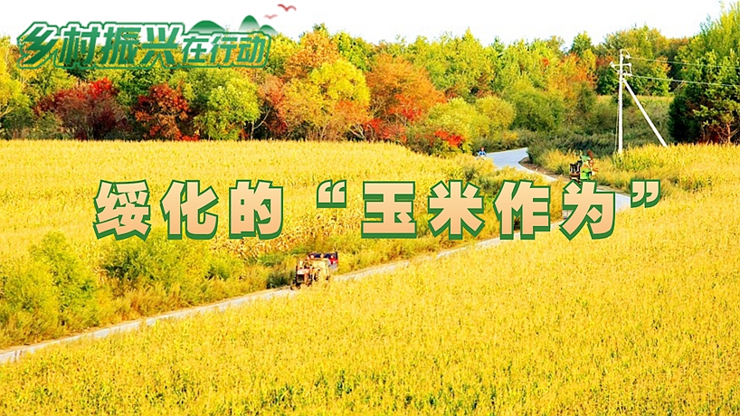 中国经济样本观察·县域样本篇丨30万人口小县,如何打造千亿级工业强县?