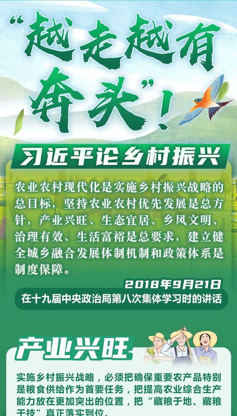 习近平在中共中央政治局第二十三次集体学习时强调 健全网络生态治理长效机制 持续营造风清气正的网络空间