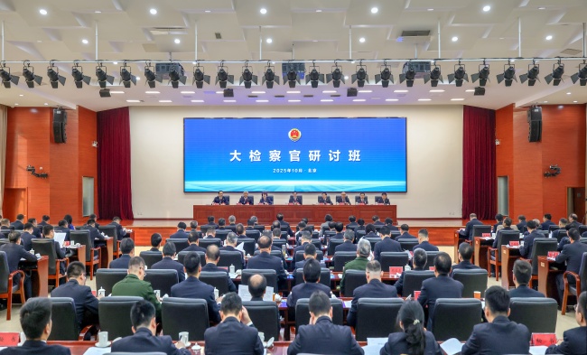 四中全会精神解读·市场最前沿丨当“中国原研”印上药盒：中国药品产业开启加速跑