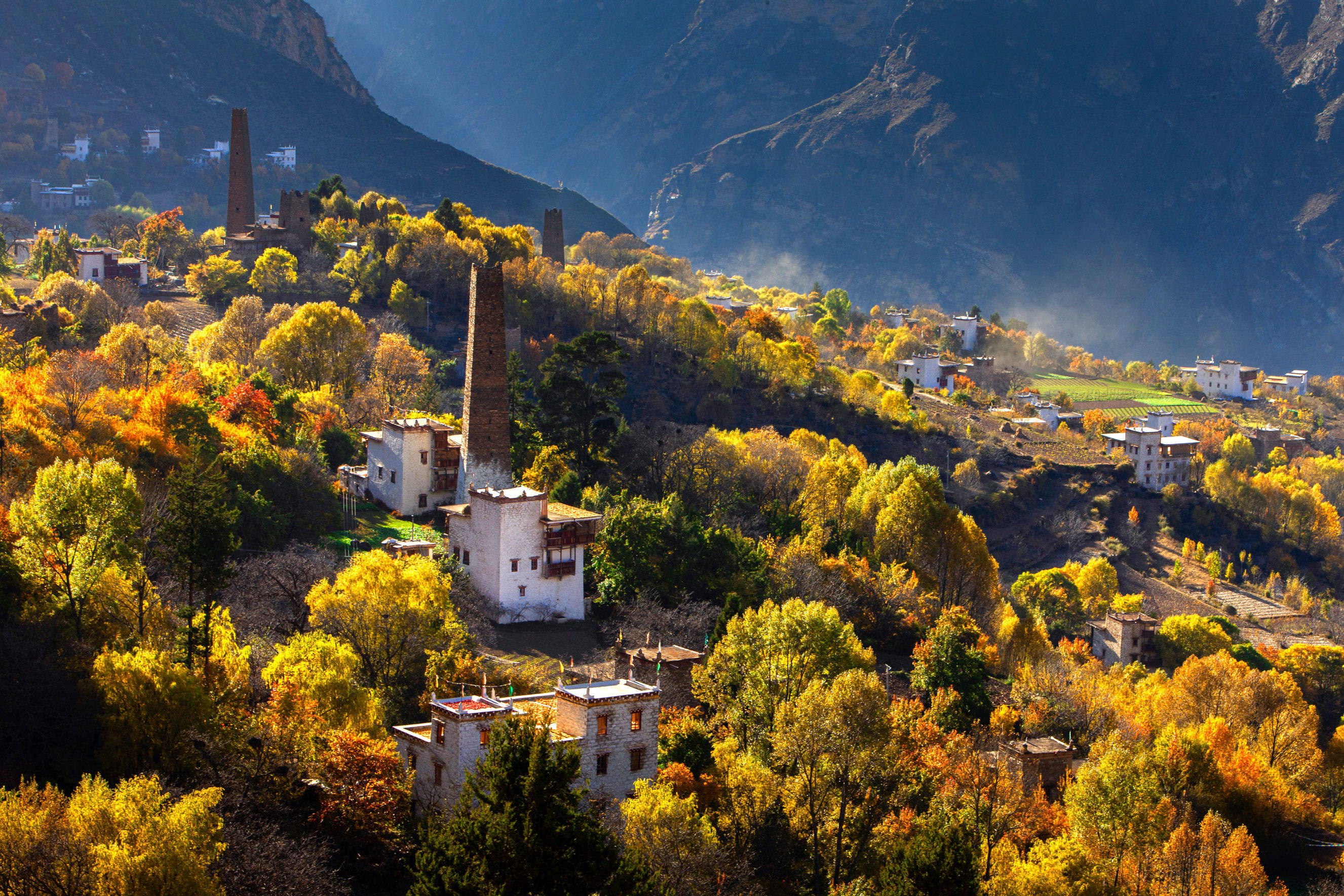 新华鲜报·“十四五”发展亮点|中国“调色盘”增新绿!森林覆盖率超25%
