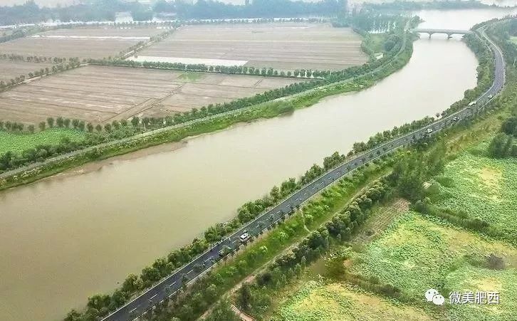 十年织密保障网 “保险+期货”助力乡村振兴提质增效