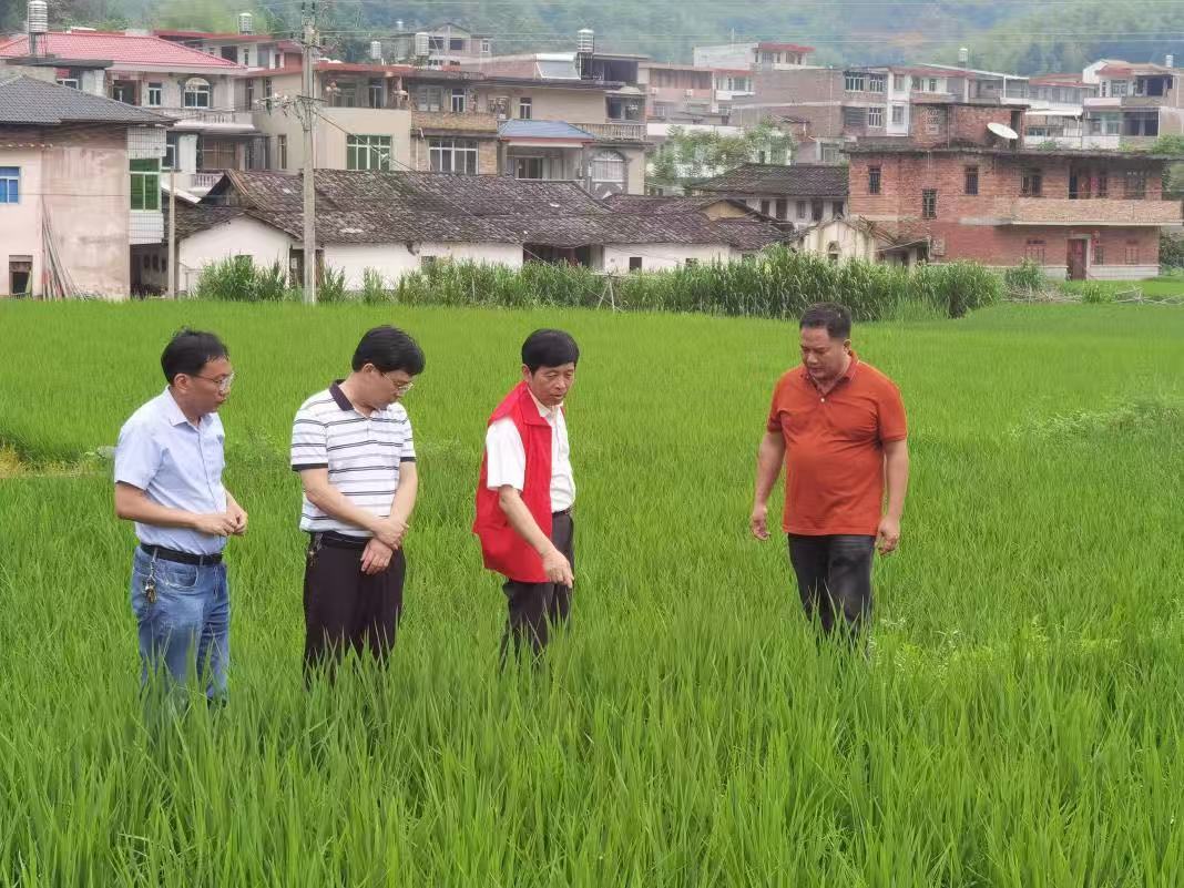 四中全会精神在基层|“小饭碗”里有民生大幸福——青海西宁每年为6万余老人提供助餐服务