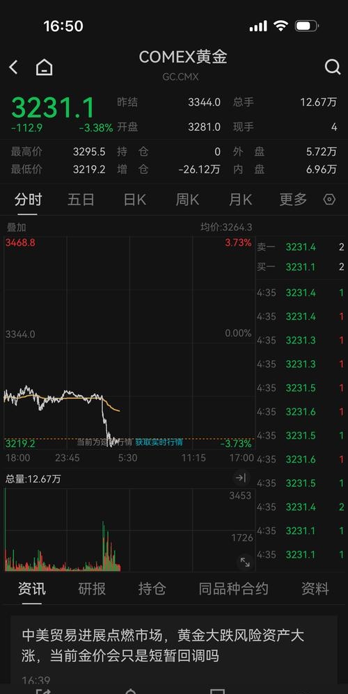 摩尔线程大幅跳水 公司提示多方面风险