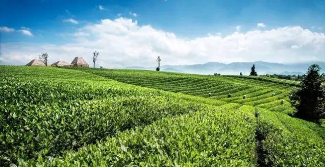 聚焦数智化绿色装备开发 卓锦股份参展2025浙江环境科技年会